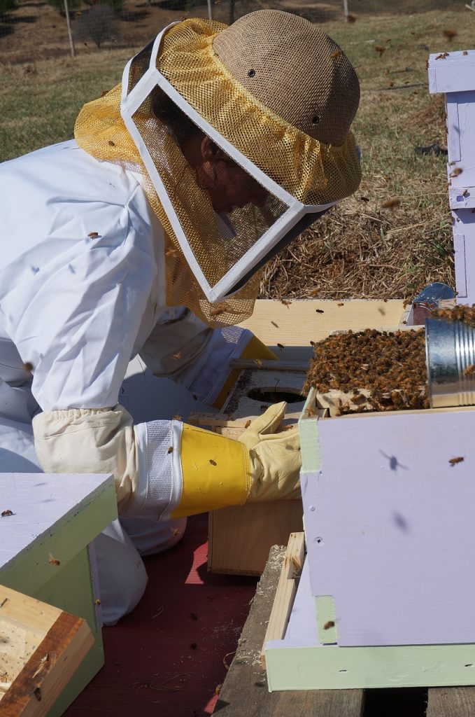 farming, beekeeping, bees